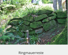 Ringmauerreste