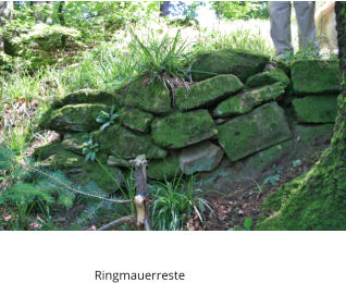 Ringmauerreste